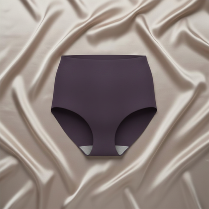 Pack Of 3 Ice Silk Stretch Panty for Women – Free Size, Ultra Stretch
